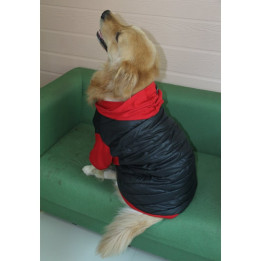 Doggy Dolly Mix 2 legs red