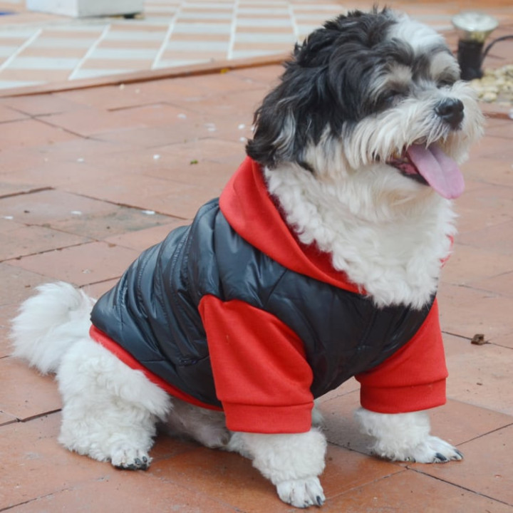 Doggy Dolly Mix 2 legs red