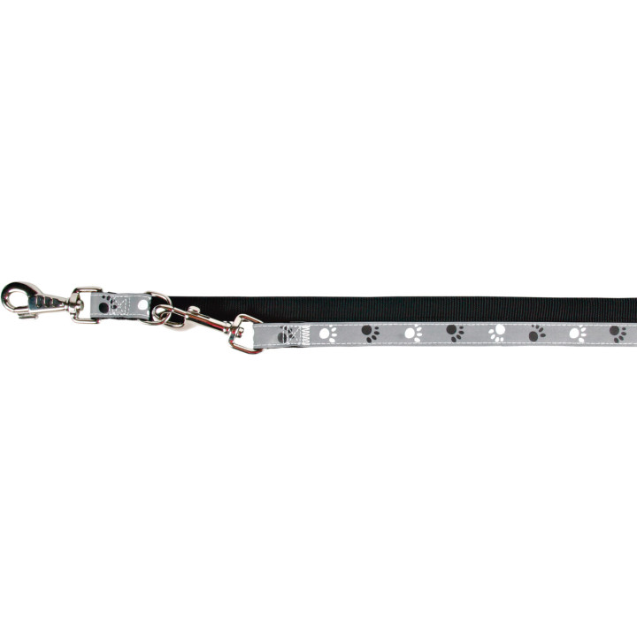 Silver Reflect Adjustable Lead