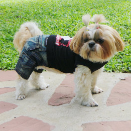 Doggy Dolly Heavy black