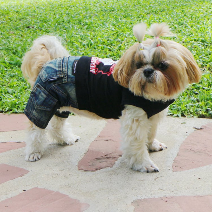Doggy Dolly Heavy black