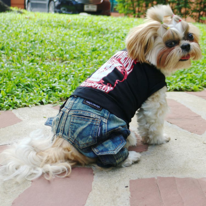 Doggy Dolly Heavy black