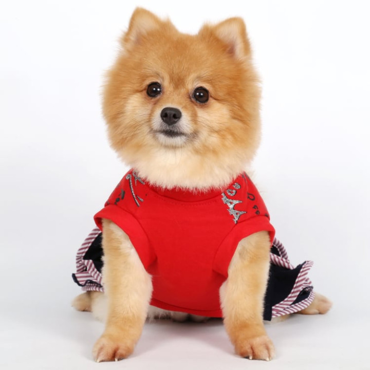 Doggy Dolly Casual wears