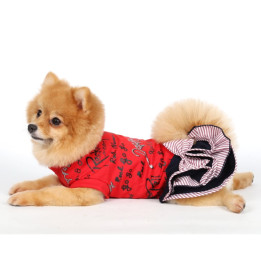 Doggy Dolly Casual wears