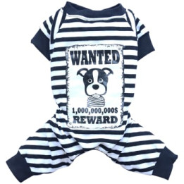 Doggy Dolly Casual wears