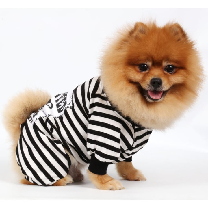 Doggy Dolly Casual wears