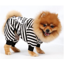 Doggy Dolly Casual wears