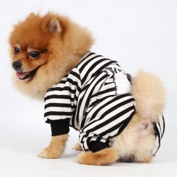 Doggy Dolly Casual wears