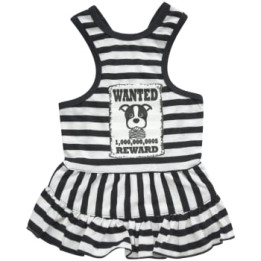 Doggy Dolly Casual wears