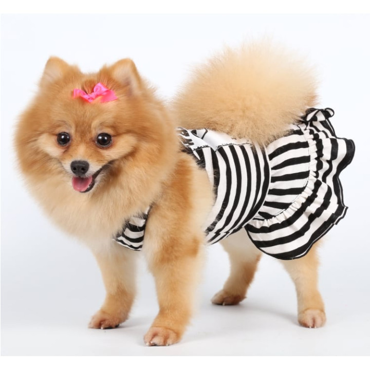 Doggy Dolly Casual wears