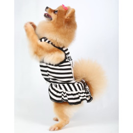 Doggy Dolly Casual wears