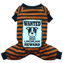 Doggy Dolly Casual wears