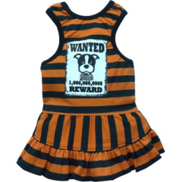 Doggy Dolly Casual wears