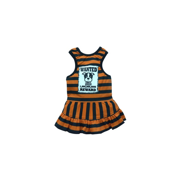 Doggy Dolly Casual wears