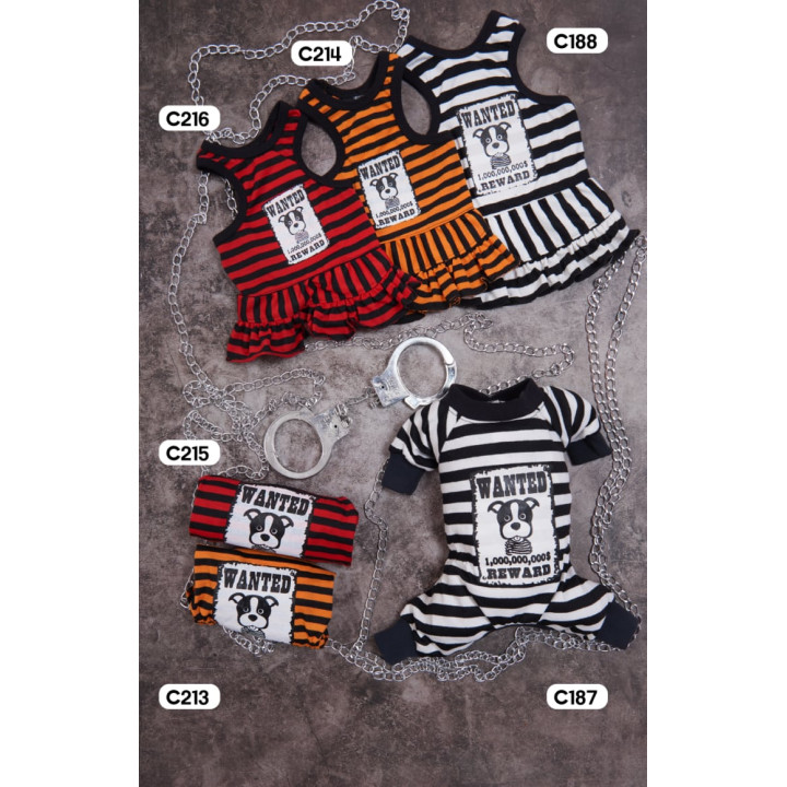 Doggy Dolly Casual wears