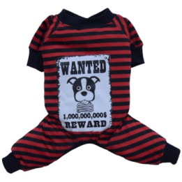 Doggy Dolly Casual wears