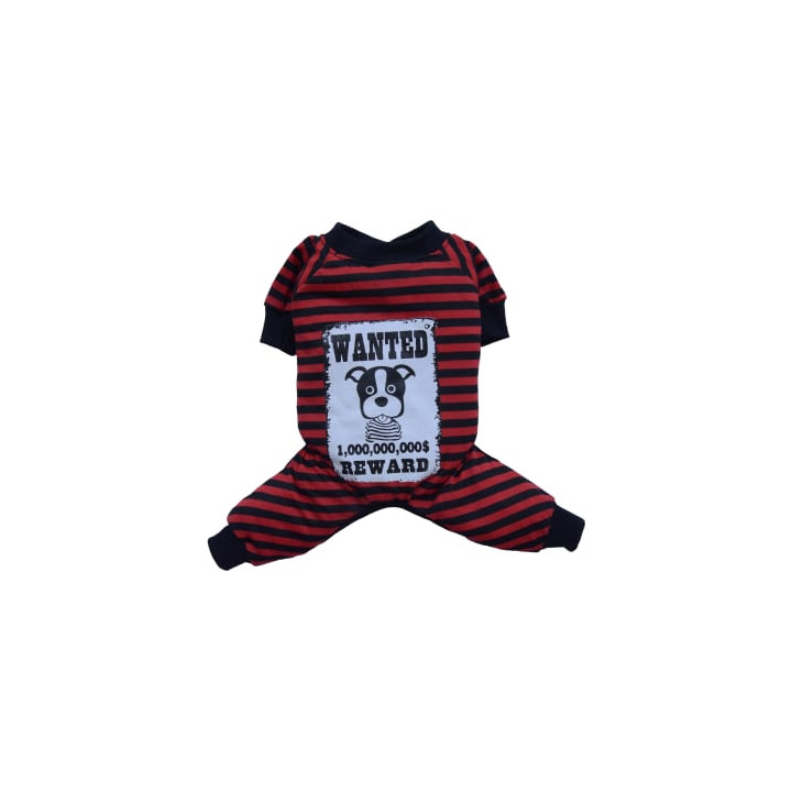 Doggy Dolly Casual wears