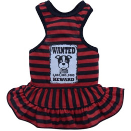 Doggy Dolly Casual wears