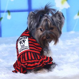 Doggy Dolly Casual wears