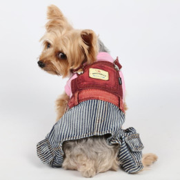 Doggy Dolly Casual