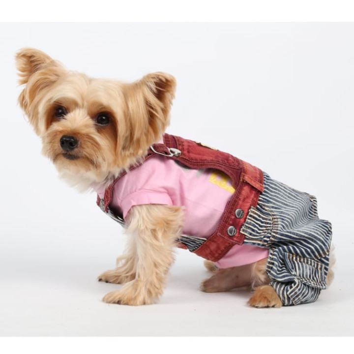Doggy Dolly Casual