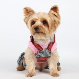 Doggy Dolly Casual