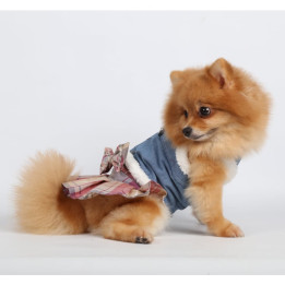 Doggy Dolly Fashion harness