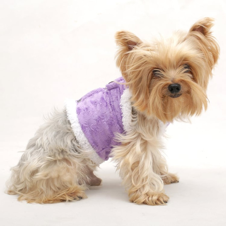 Doggy Dolly Winter coat & Pullovers