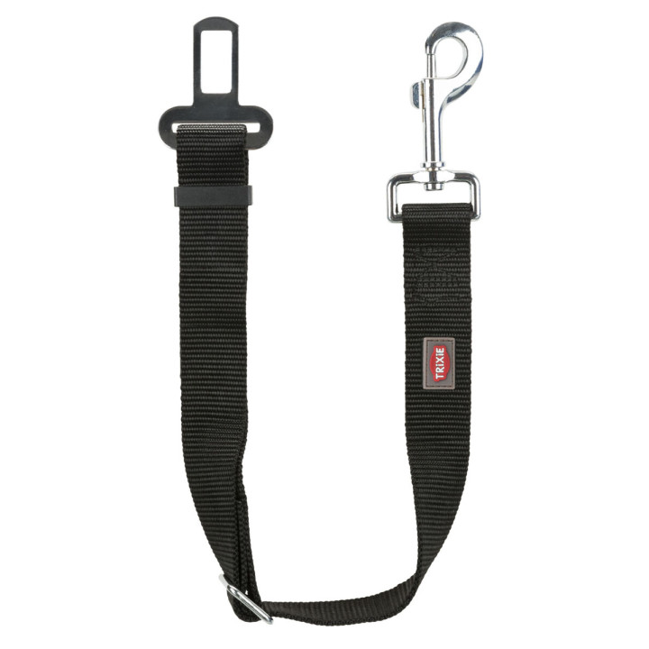 Safety Belt