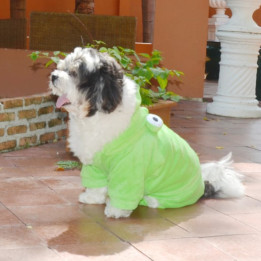 Doggy Dolly Winter coat & Pullovers