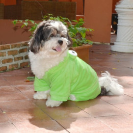 Doggy Dolly Winter coat & Pullovers