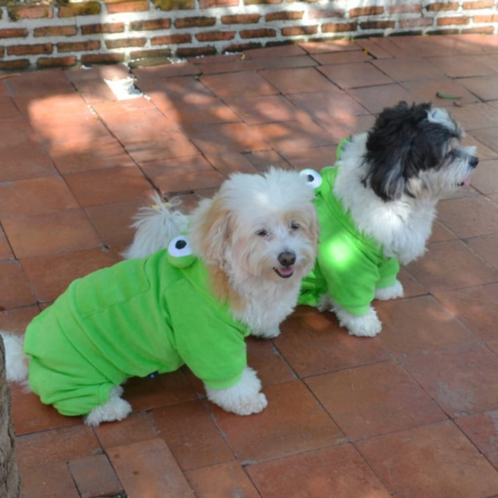 Doggy Dolly Winter coat & Pullovers