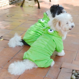 Doggy Dolly Winter coat & Pullovers