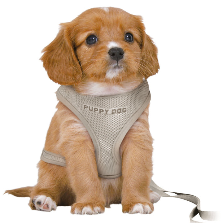 Junior Yavru Köpek Yumuşak Göğüs Tasması ve Gezdirme Tasması