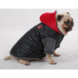 Doggy Dolly French Bull dogs,Pug Cloths