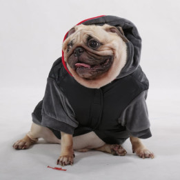Doggy Dolly French Bull dogs,Pug Cloths