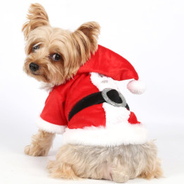 Doggy Dolly Winter coat & Pullovers