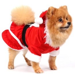 Doggy Dolly Winter coat & Pullovers