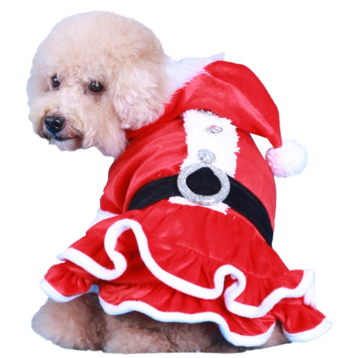 Doggy Dolly Winter coat & Pullovers