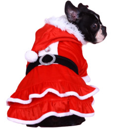 Doggy Dolly Winter coat & Pullovers