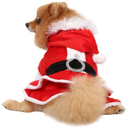 Doggy Dolly Winter coat & Pullovers