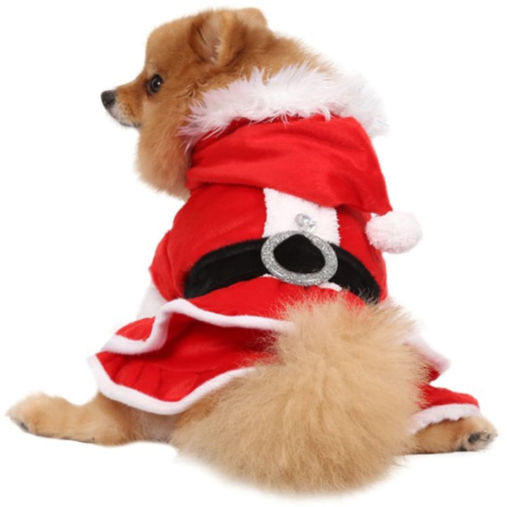 Doggy Dolly Winter coat & Pullovers