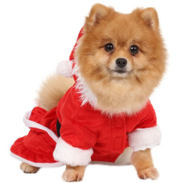 Doggy Dolly Winter coat & Pullovers
