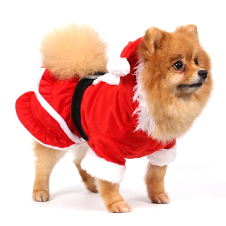 Doggy Dolly Winter coat & Pullovers