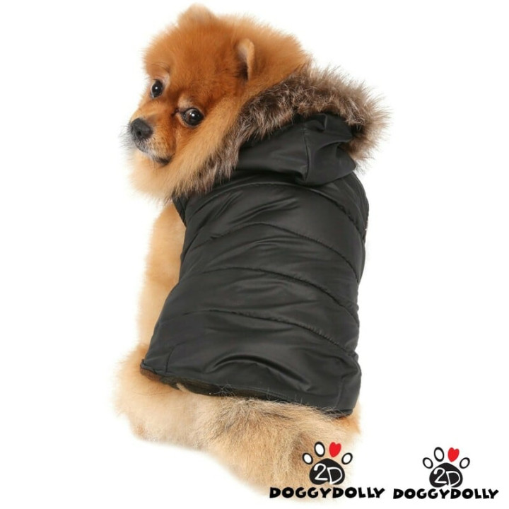 Doggy Dolly Black winter hoot