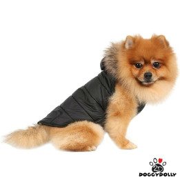Doggy Dolly Black winter hoot