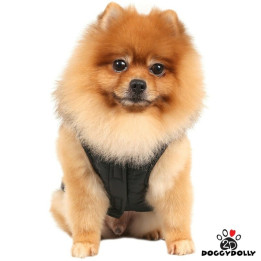 Doggy Dolly Black winter hoot