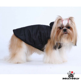Doggy Dolly Black winter hoot