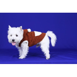 Doggy Dolly 2 legs hoodie коричневый