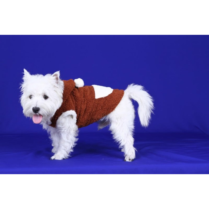 Doggy Dolly 2 legs hoodie kahverengi